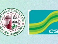 পুঁজিবাজারে মূলধন কমেছে ১৭ হাজার ৩১৭ কোটি টাকা
