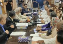সরকার ও ঐকমত্য কমিশনের সুনির্দিষ্ট এজেন্ডা নেই : আলী রীয়াজ