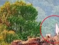 পাকিস্তানি আক্রমণের মুখে ‘সাদা পতাকা’ ওড়ালো ভারতীয় সেনারা