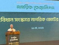 নতুন সংবিধান প্রণয়ন করতে অনেক সময় লাগবে : আসিফ নজরুল