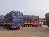 ভারতের নিষেধাজ্ঞায় বেনাপোলে আটকা পণ্যবাহী শতাধিক ট্রাক