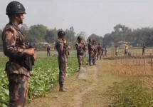 সীমান্ত দিয়ে চামড়া পাচার রোধে কঠোর অবস্থানে বিজিবি