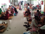 ডেঙ্গুতে একদিনে ৫ জনের মৃত্যু, হাসপাতালে ১৫৯