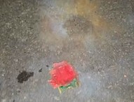 বিএনপির কেন্দ্রীয় কার্যালয়ের সামনে ককটেল বিস্ফোরণ