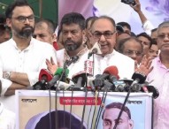‘চিলড্রেন্স পার্টি’র কথা শুনে বিভ্রান্ত হওয়ার কারণ নেই: মির্জা আব্বাস