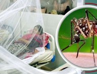ডেঙ্গুতে একজনের মৃত্যু, হাসপাতালে ভর্তি ১১৪