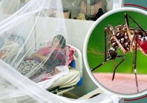 ডেঙ্গুতে একজনের মৃত্যু, হাসপাতালে ভর্তি ১১৪