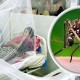 ডেঙ্গুতে একজনের মৃত্যু, হাসপাতালে ভর্তি ১১৪