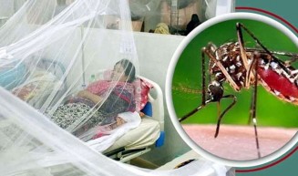 ডেঙ্গুতে একজনের মৃত্যু, হাসপাতালে ভর্তি ১১৪