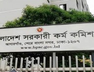 ৪৮তম বিসিএস পরীক্ষার ফল প্রকাশ, উত্তীর্ণ ৫২০৬ জন